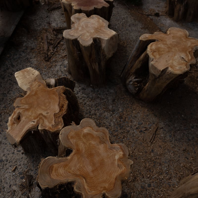 森の木からつくったティースプーンのギフトセット | 森林浴茶