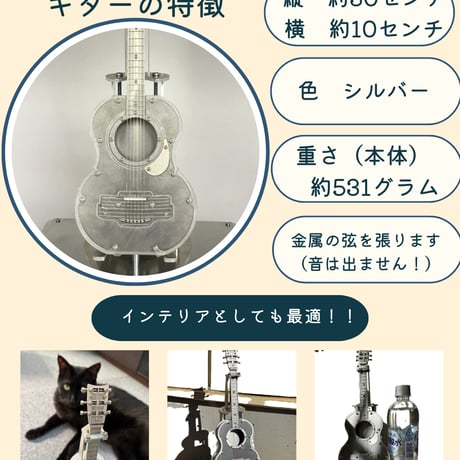 パネモデル　ギター　ケーブルテレビジョン様による放送記念限定割引きキャンペーン