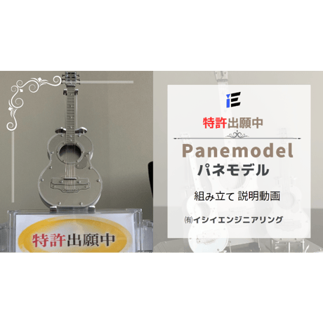 パネモデル　ギター　ケーブルテレビジョン様による放送記念限定割引きキャンペーン