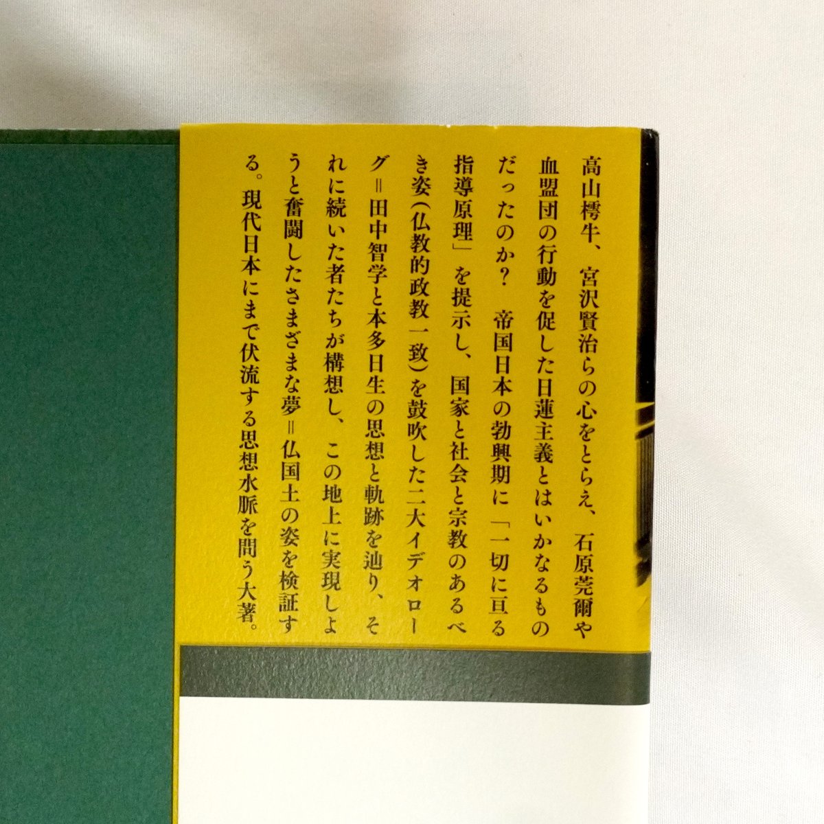 日蓮主義とはなんだったのか―近代日本の思想水脈 | 宝樹/KYOTO 日蓮主義とはなんだったのか―近代日本の思想水脈 | 宝樹/KYOTO