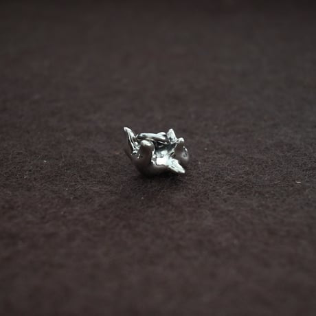 The puppy charm　-スパイ
