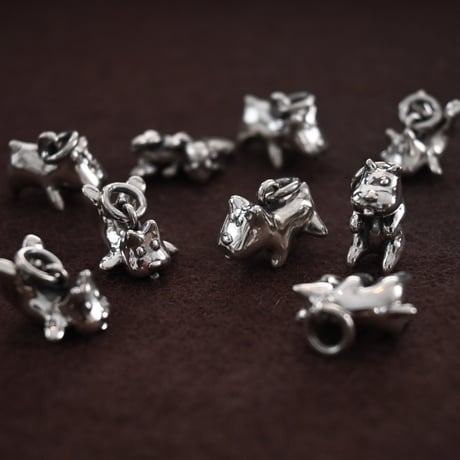 The puppy charm　-スパイ