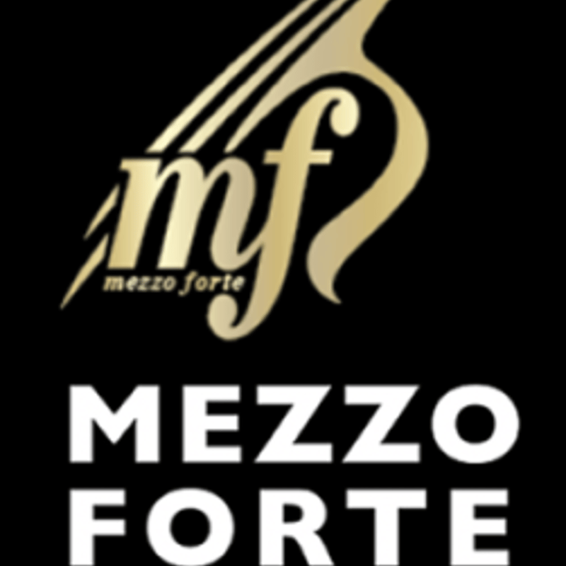 バイオリン【EVOライン】mezzo-forte カーボンファイバー製 | mezzo for