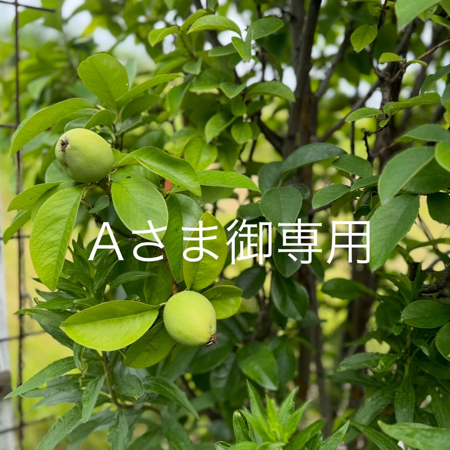 688bc502c823273fa705c7c0