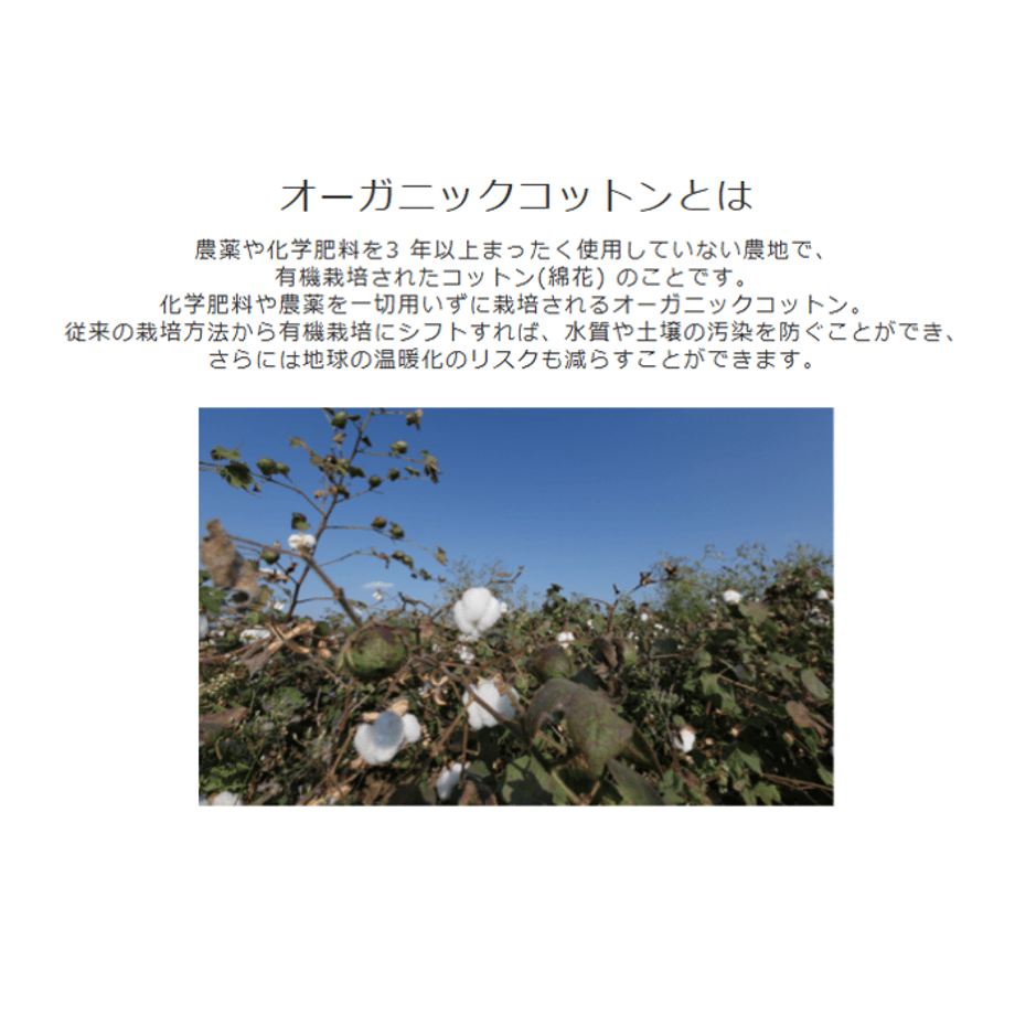 64c679dc3097d700cf48021a