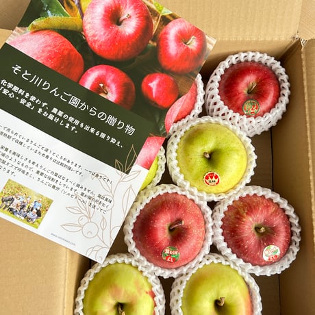 セシリバンセン　りんご 葛研究所 乳酸菌りんごゼリー《1週間お試しセット（7本入