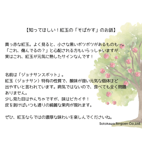 紅玉（ＫＯＵＧＹＯＫＵ）
