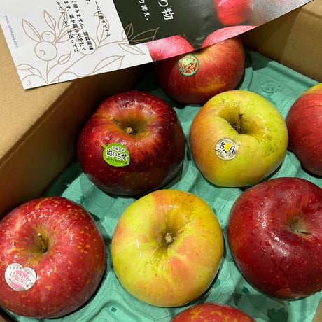 ロシア雑貨☆リンゴ型ミニ飾り皿 appleオーナメント オリガ作 マトリョーシカ ロシア雑貨☆リンゴ型ミニ飾り皿 appleオーナメント オリガ作