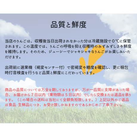 定期便　贈答用5ｋｇ　　　　　　　　　　季節のりんご詰め合わせ！