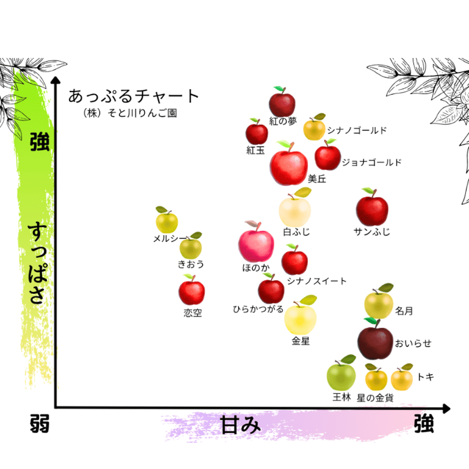 6507b3b13cea4a00308c46ae