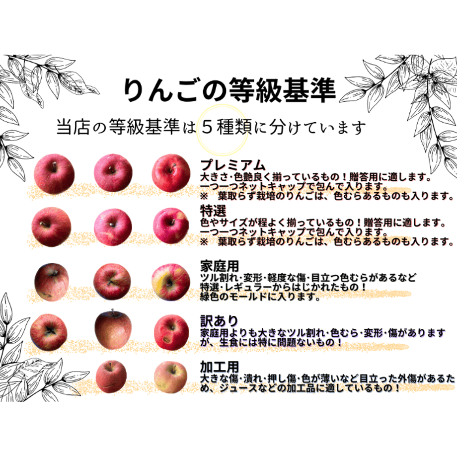 6507b10bf0a6af002c3a65f5