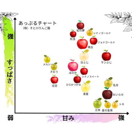 星の金貨（ＨＯＳＨＩＮＯＫＩＮＫＡ　）