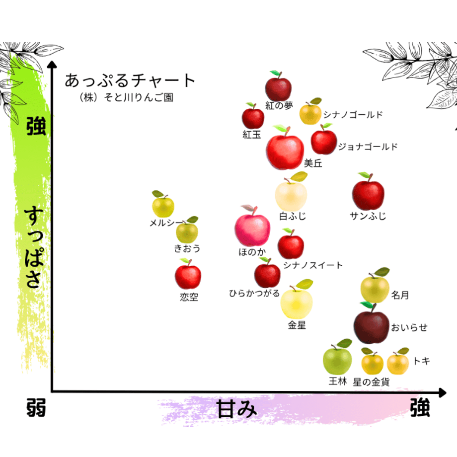6506cb486d151200328a69f7