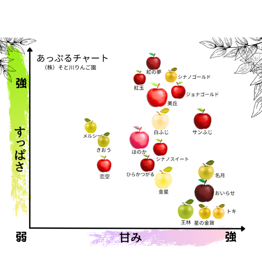 6506d5fe6965921815c8e503