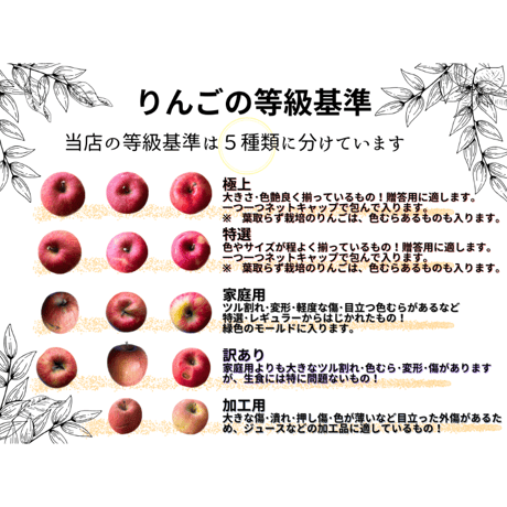 王林　（ＯＵＲＩＮ）