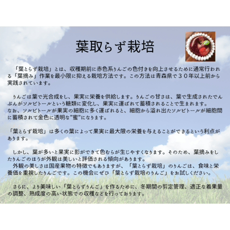 葉取らずサンふじ（ＦＵＪＩ）