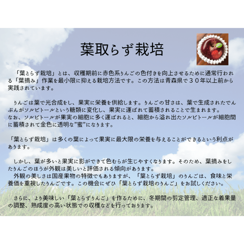 りんご(プロフ必読)ページ りんご@プロフ一読願います様 リクエスト 5点 まとめ商品 - メルカリ