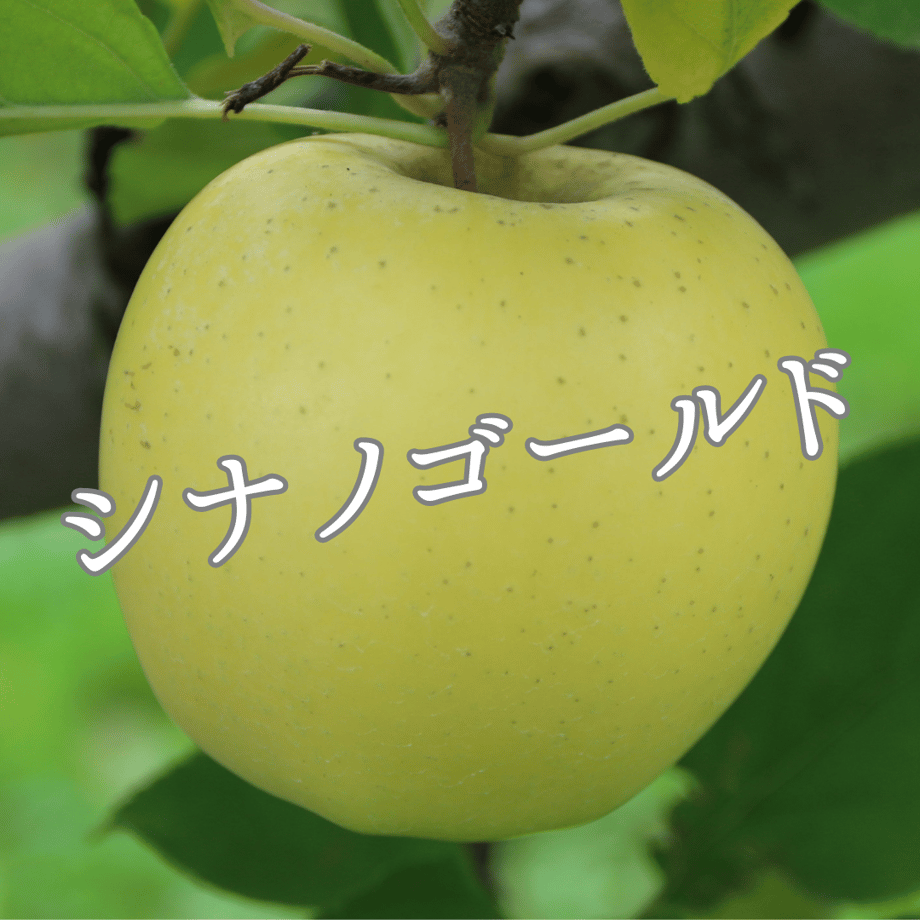 6507b3b13cea4a00308c46ae