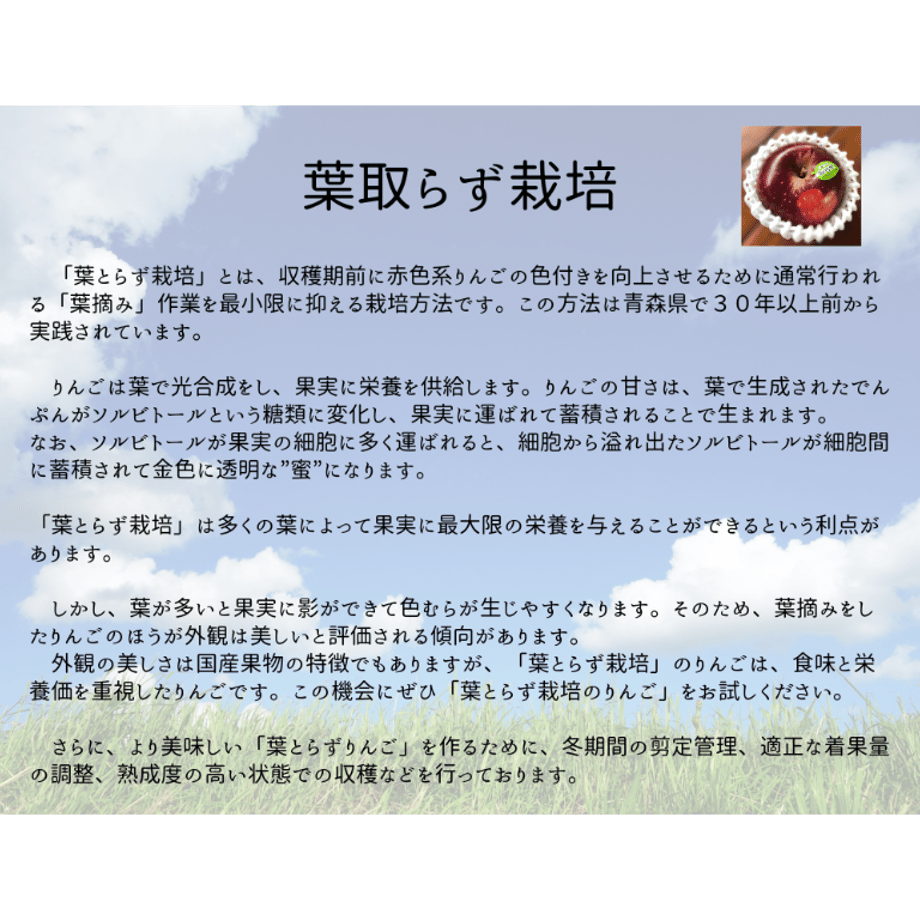 6506cb486d151200328a69f7