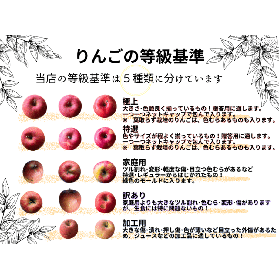 64cccc7859c112002f9a26f4