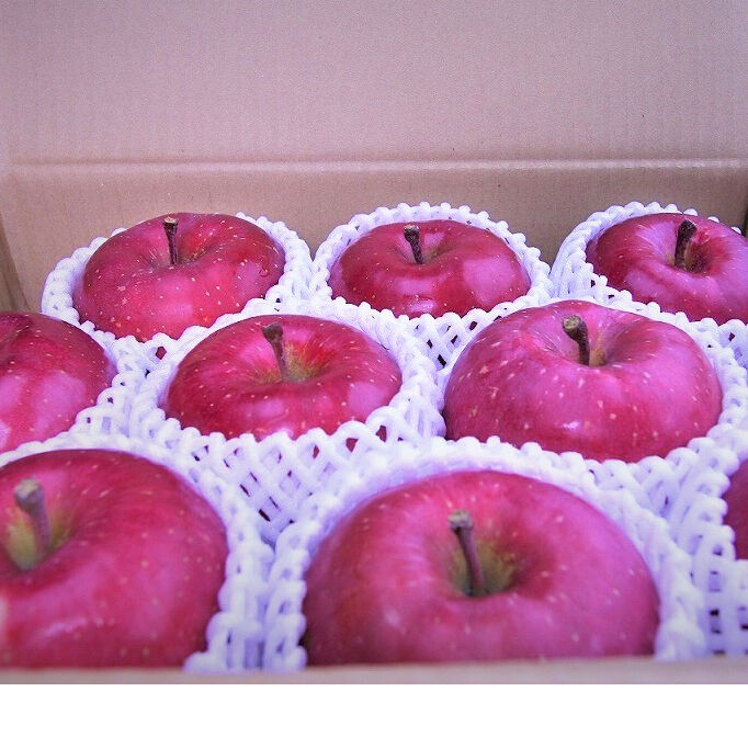 スペシャルセット | mr-ringo