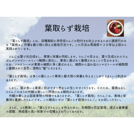 詰め合わせおまかせ