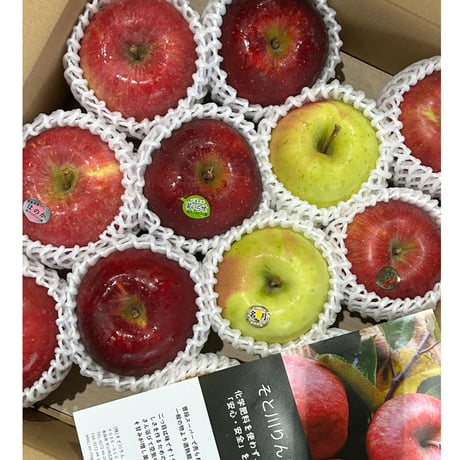 りんご CATEGORY りんご | mr-ringo