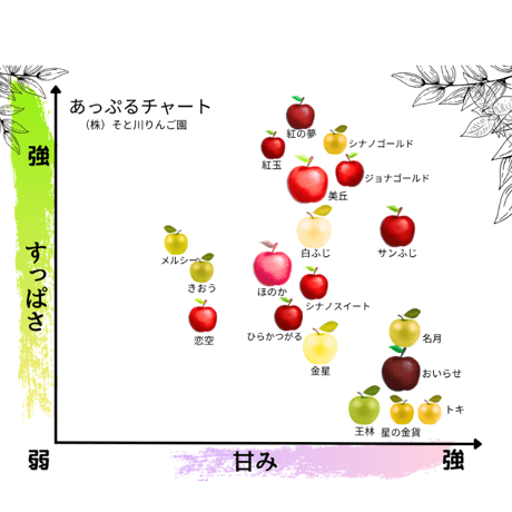 葉取らずサンふじ（ＦＵＪＩ）