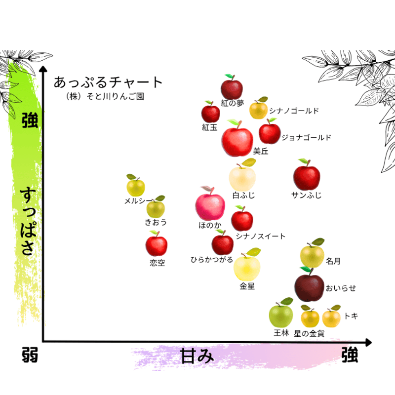 葉取らずサンふじ（FUJI） | mr-ringo