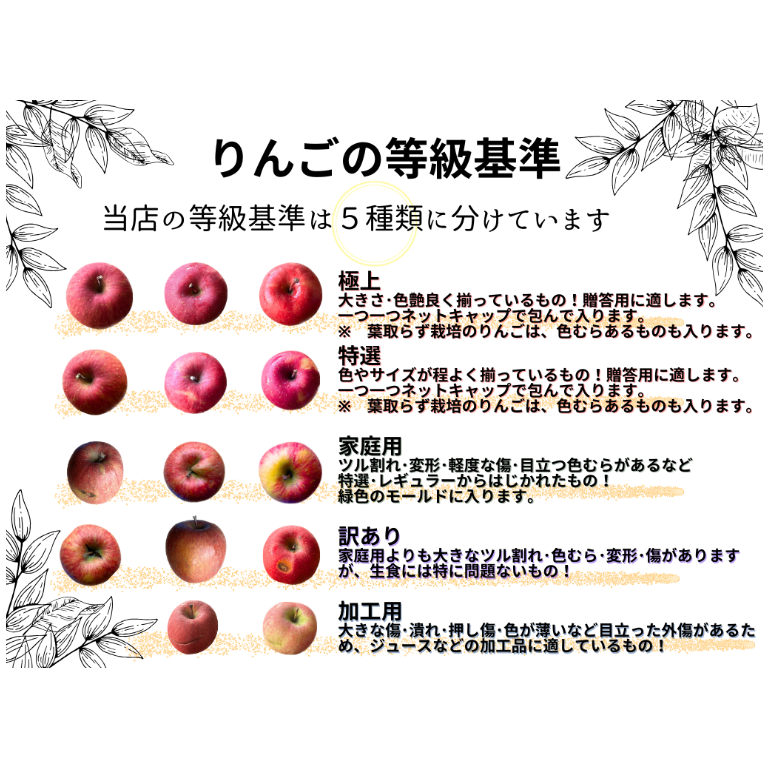 りんご☆様 ご確認用ページです。 シナノスイート（SUITO） | mr-ringo