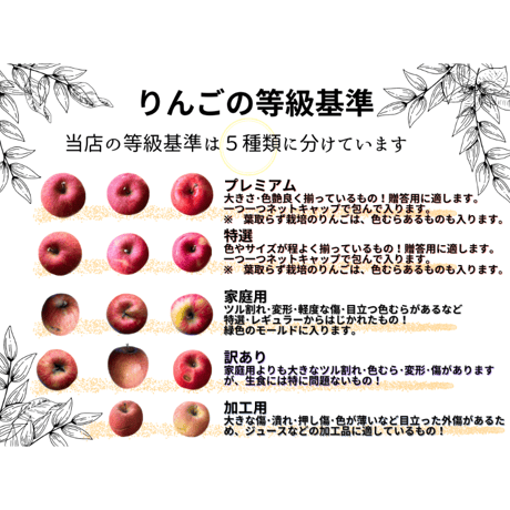定期便　家庭用5ｋｇ　　　　　　　　　季節のりんご詰め合わせ！