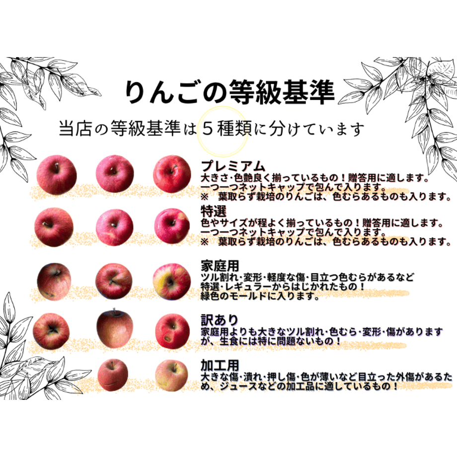 668a42b1ae8e9e133b197355