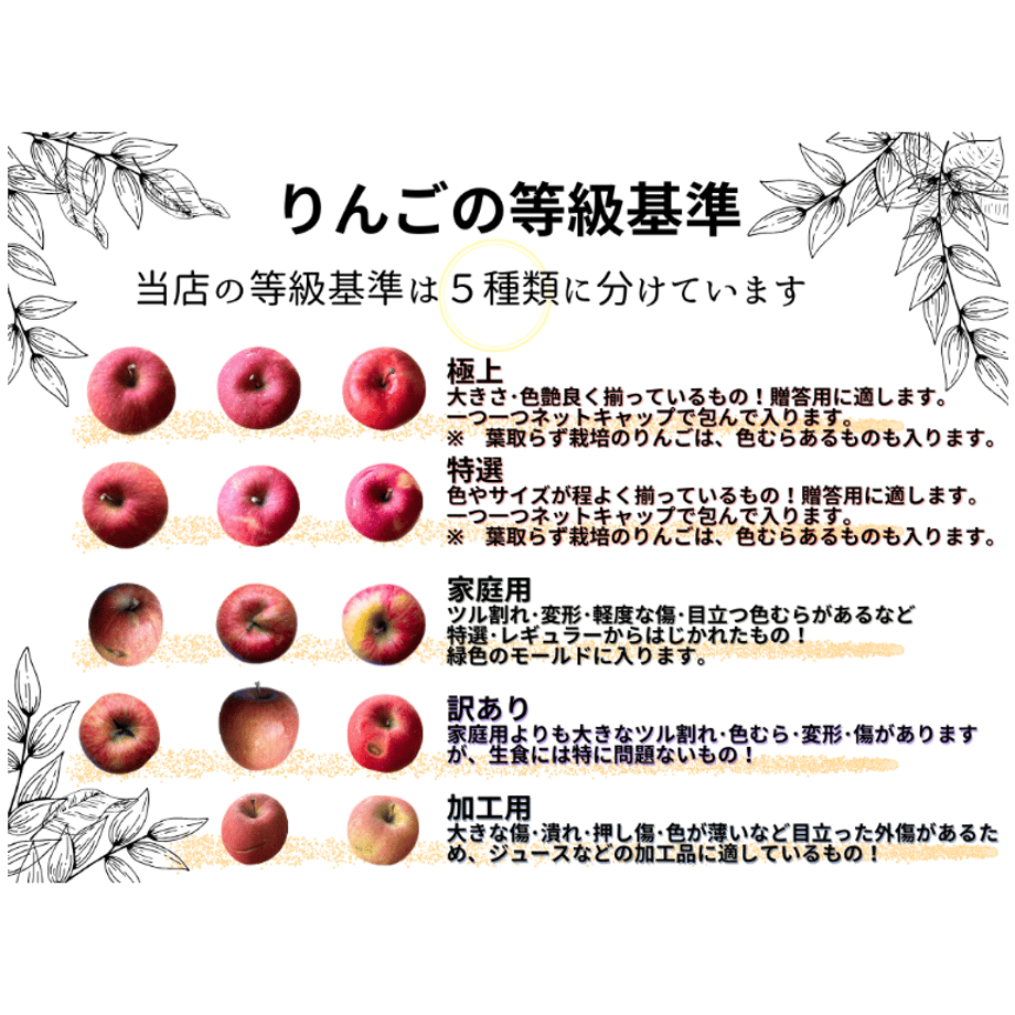 6507a499f0a6af002c3a6189