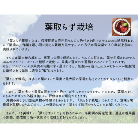 ほのか〈早生ふじ〉