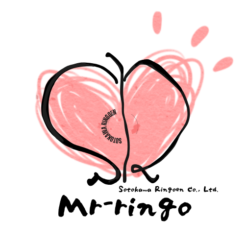 mr-ringo