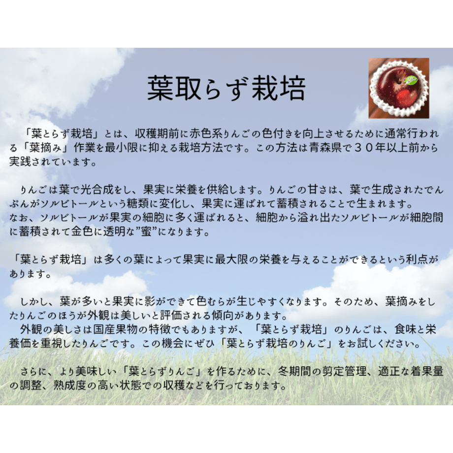 6507b3b13cea4a00308c46ae