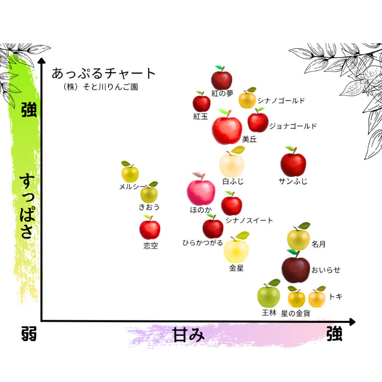 シナノスイート（SUITO） | mr-ringo