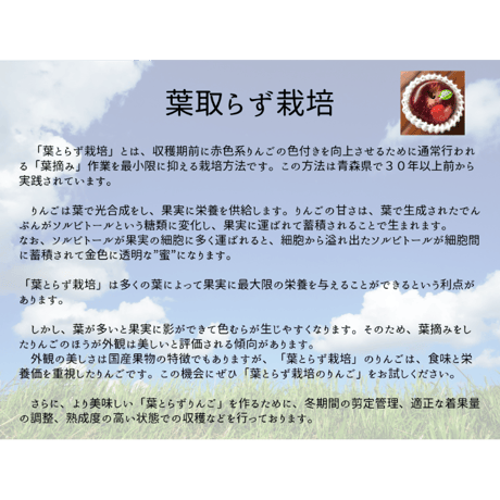 トキ　（ＴＯＫＩ）