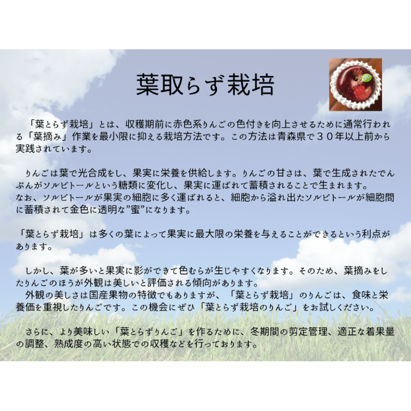 りんご☆様 ご確認用ページです。 wanisun market / 加工用りんご☆さんふじ6kgover‼︎