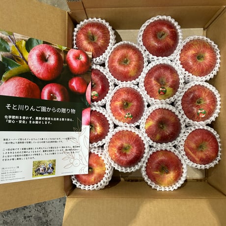 葉取らずサンふじ（ＦＵＪＩ）