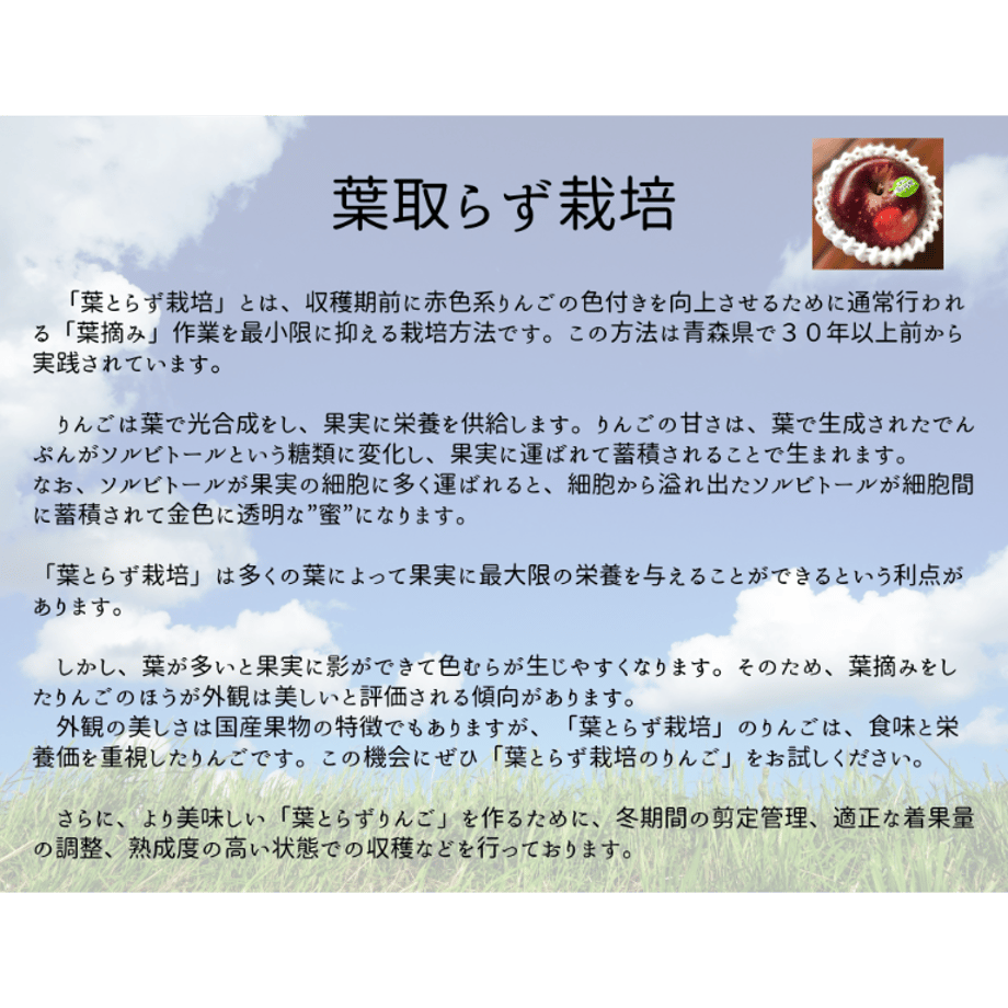 668a42b1ae8e9e133b197355