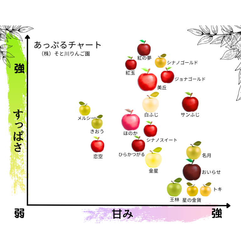 貝とりんご 🍪 ハートの形をしたサクサク食感のビスケット💛 甘酸っぱい