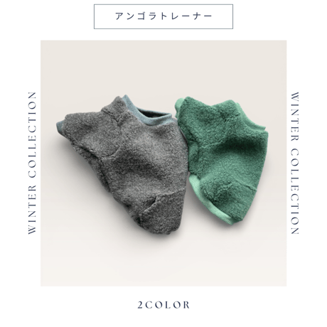 アンゴラトレーナー