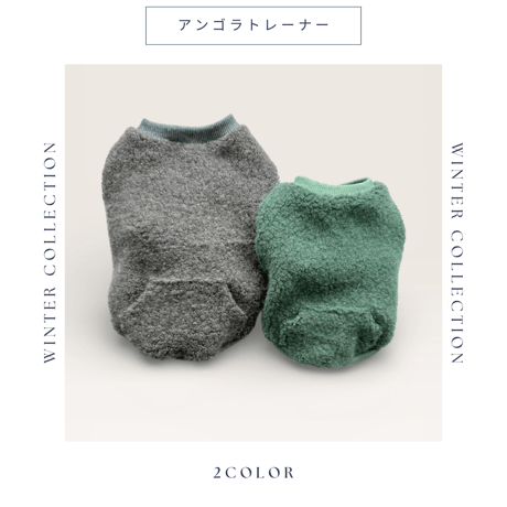 アンゴラトレーナー