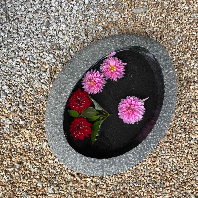 最終お値下げ 花器 水盤 ステンレス角水盤 – THE GALLERY 草月