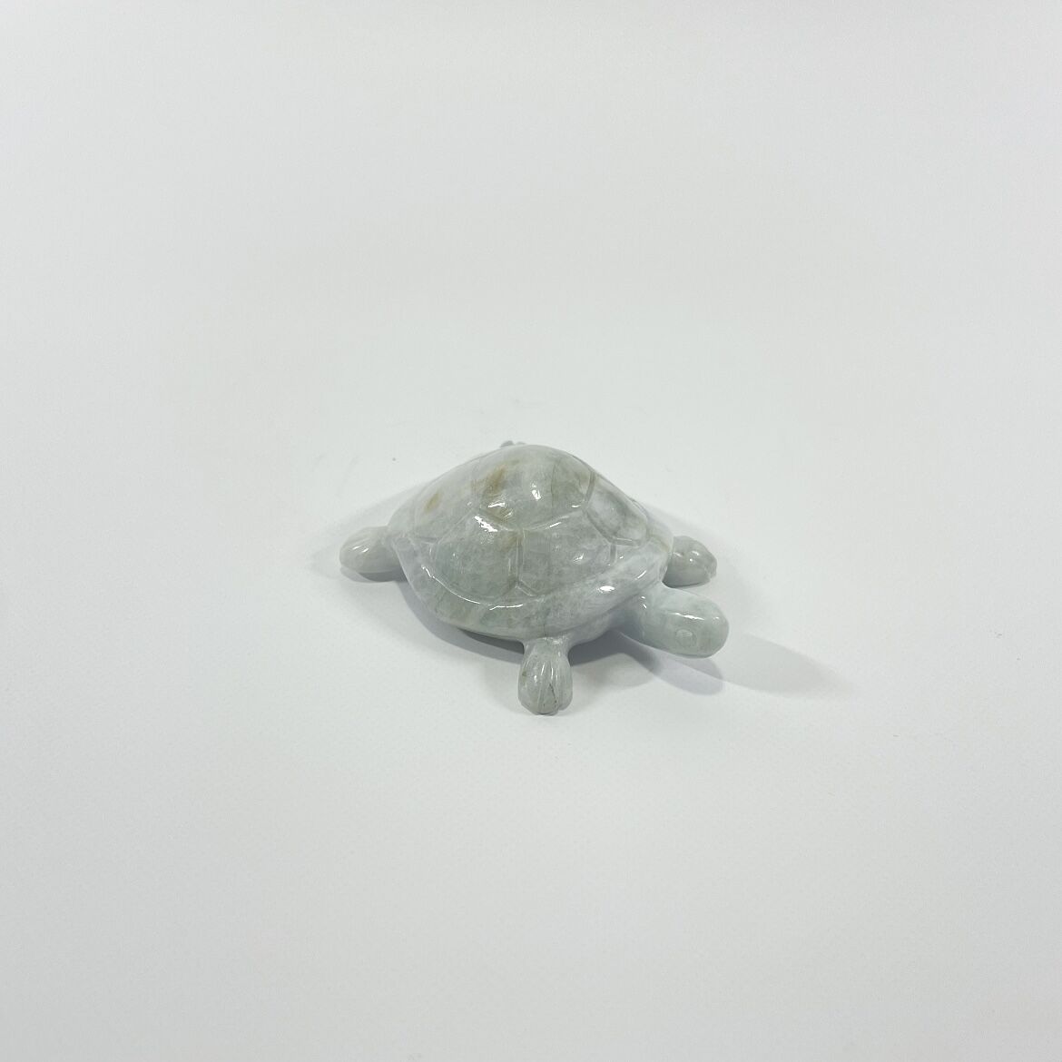 翡翠 かめ | ohakakiwame