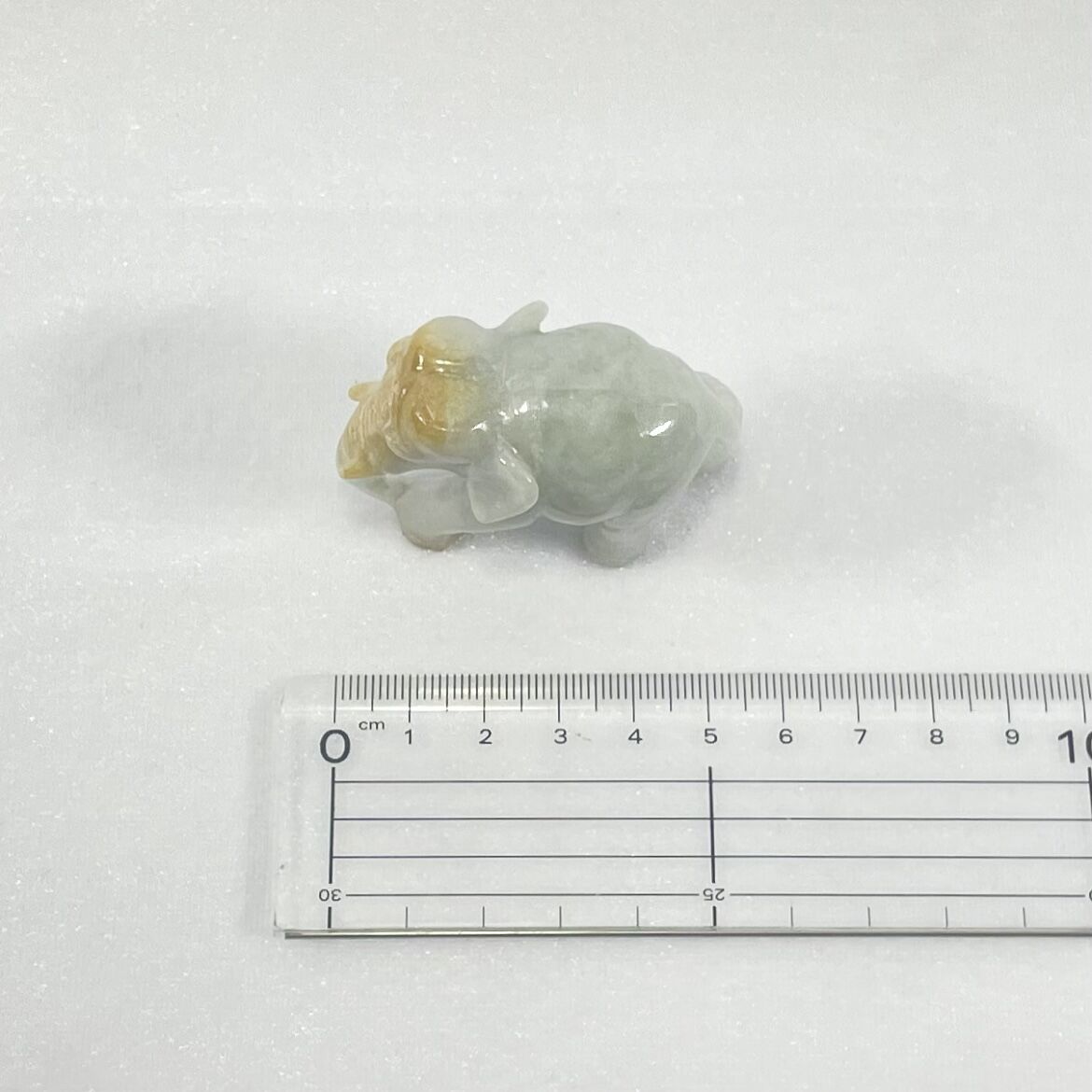 翡翠 象 | ohakakiwame