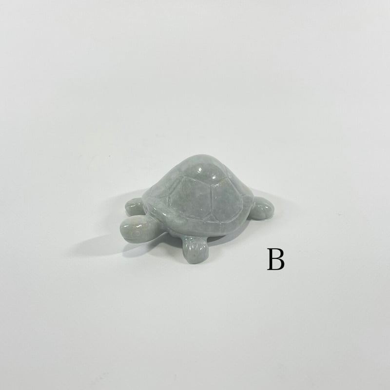 翡翠 かめ | ohakakiwame