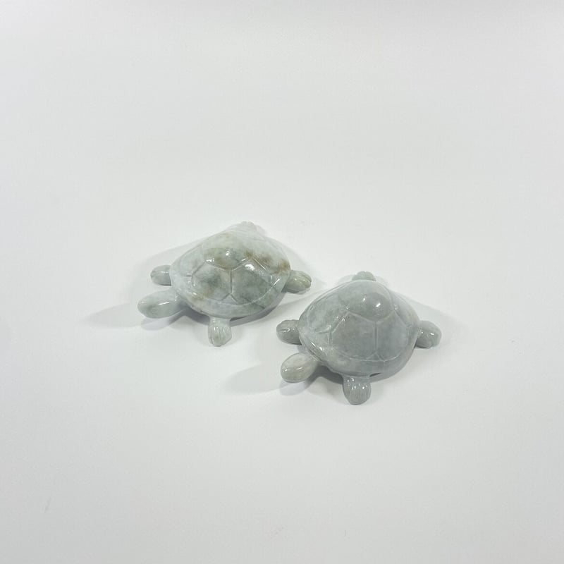 翡翠 かめ | ohakakiwame