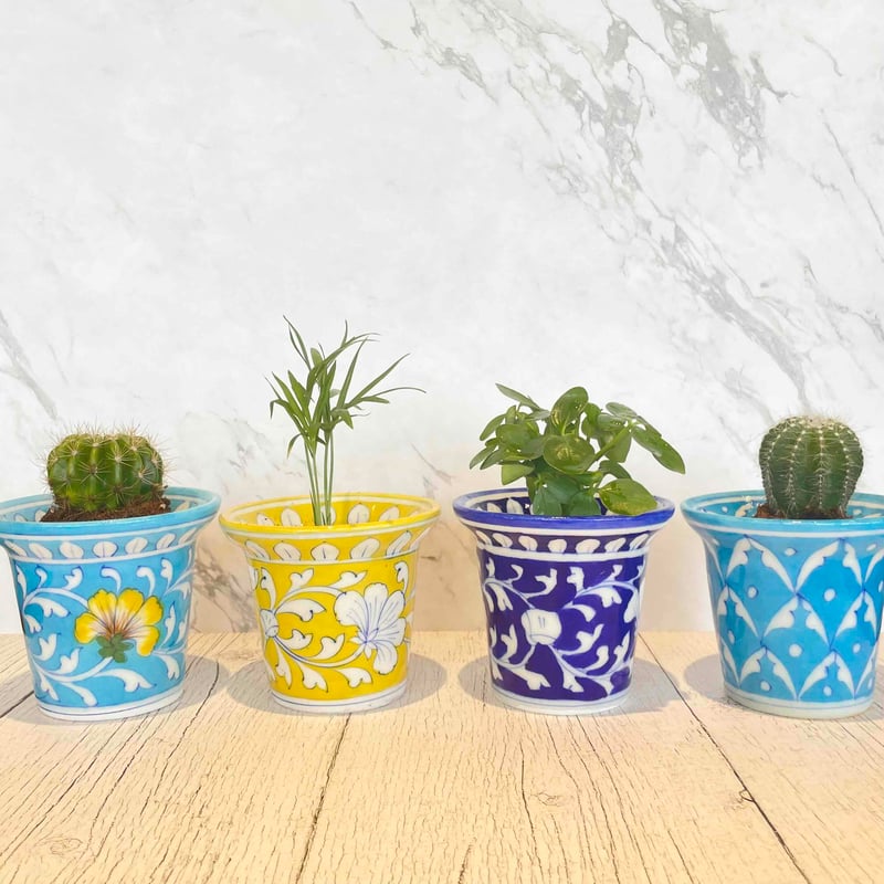 ブルーポタリー 植木鉢(大) | ohakakiwame